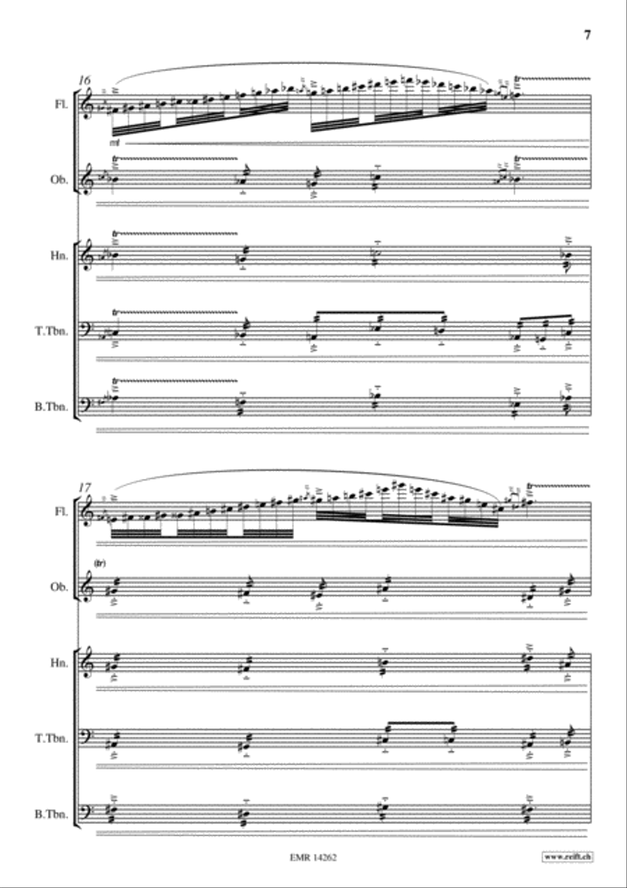 Barcarolle Flute scores gallery preview page 7