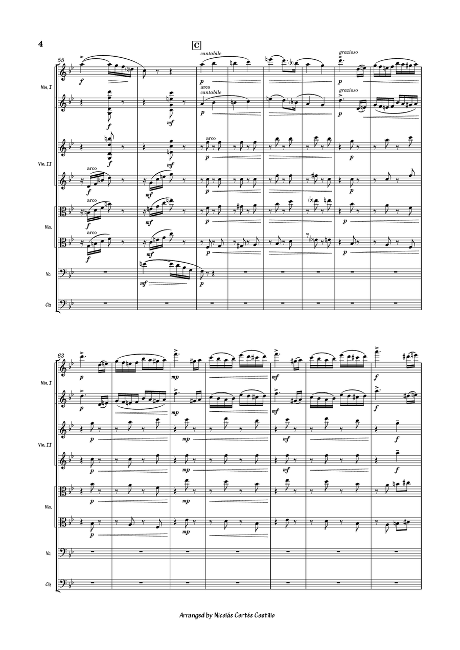 Tchaikovsky - Nutcracker Suite Op. 71a for String Orchestra String Orchestra scores gallery preview page 6