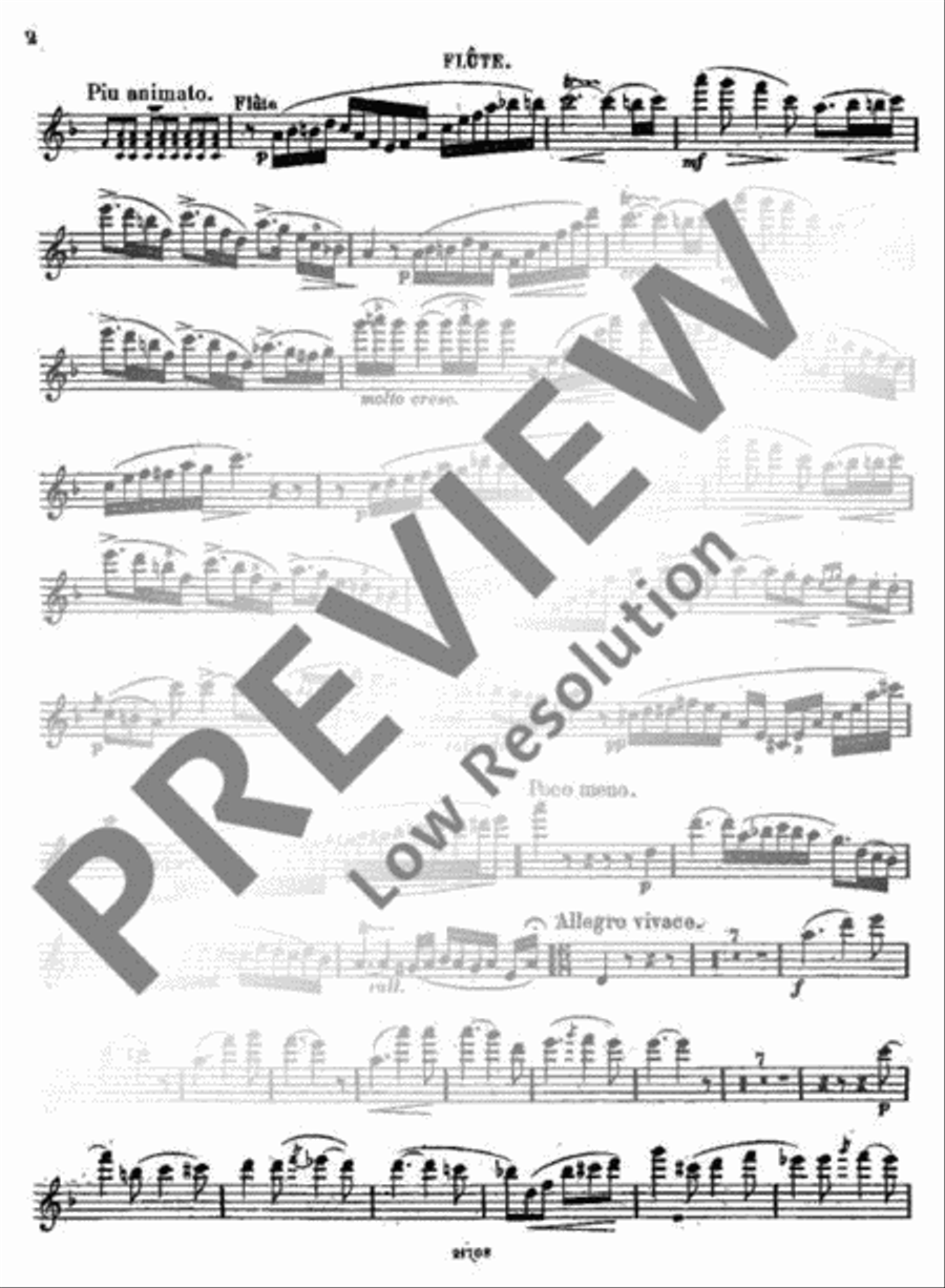 Souvenir du Rigi Flute scores gallery preview page 12