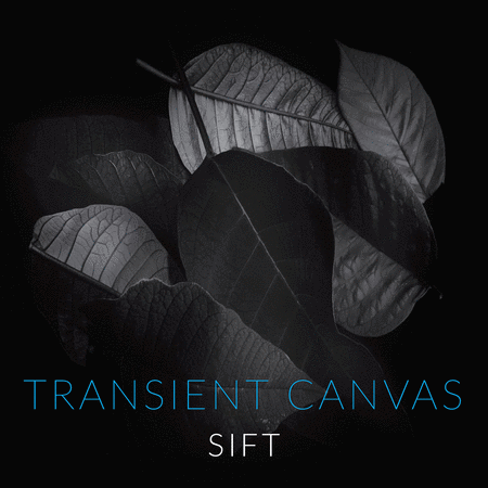 Sift - Transient Canvas