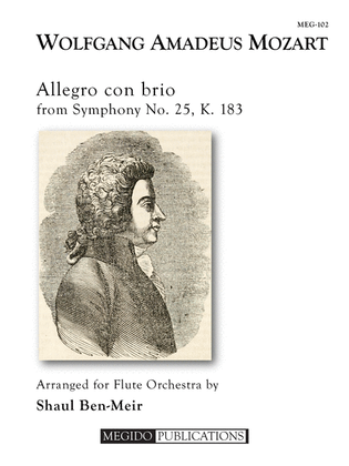 Allegro con brio from Symphony No. 25, K. 183 for Flute Orchestra