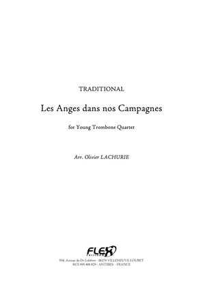 Book cover for Les Anges dans nos Campagnes
