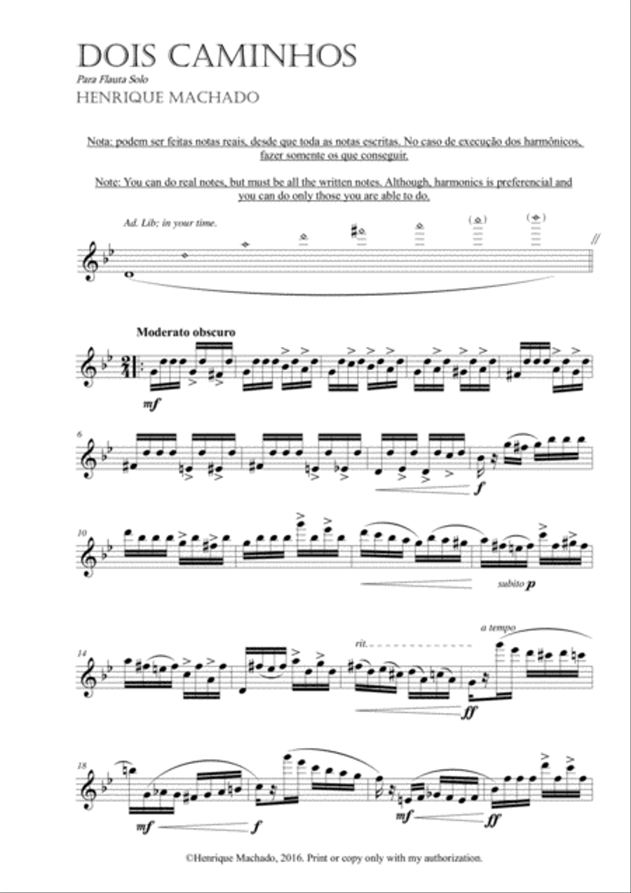Dois Caminhos (Two Paths) Flute Solo scores gallery preview page 2