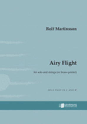 Book cover for Airy Flight (Solo part)