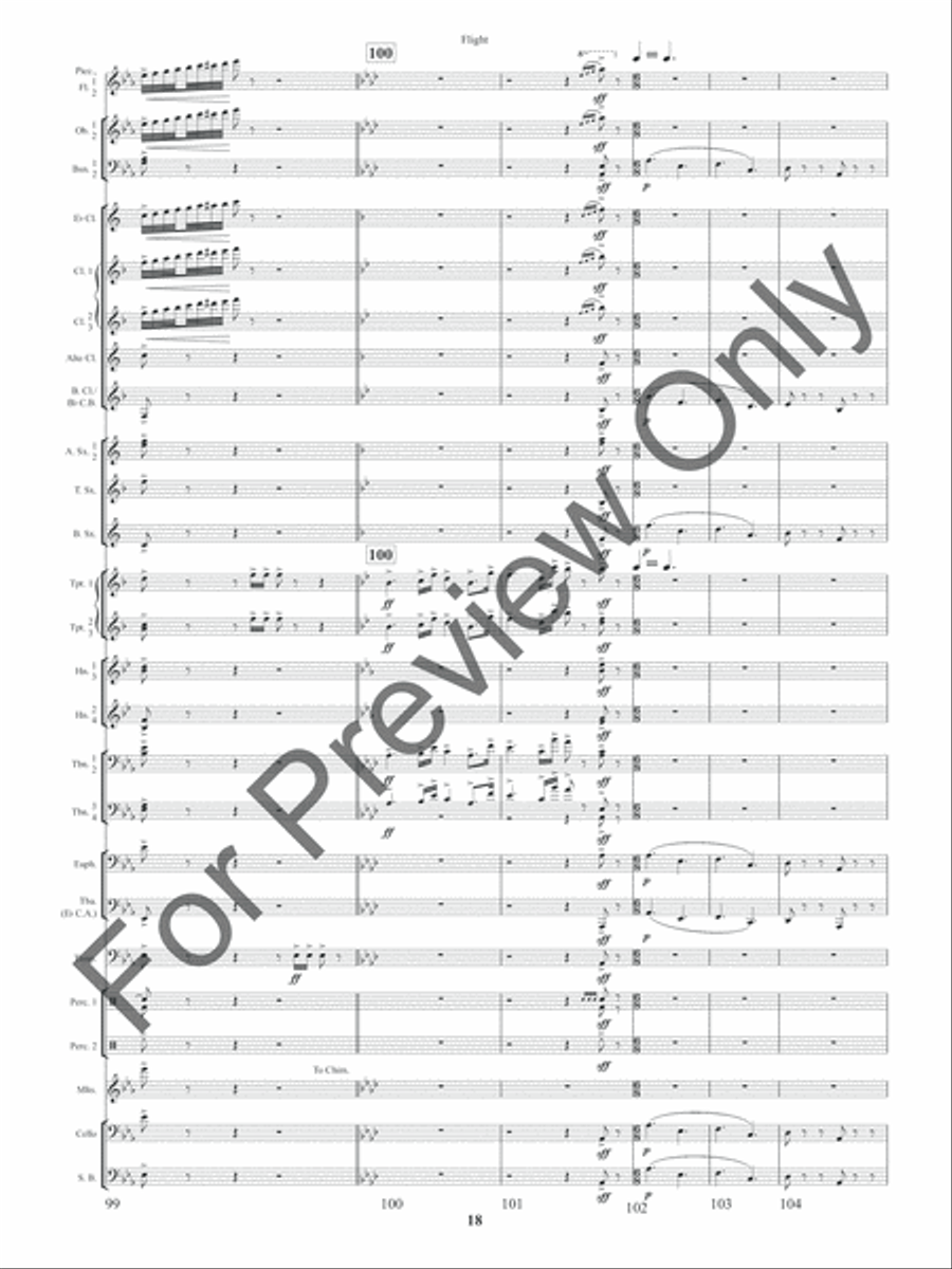 Flight (Score) Concert Band scores gallery preview page 21