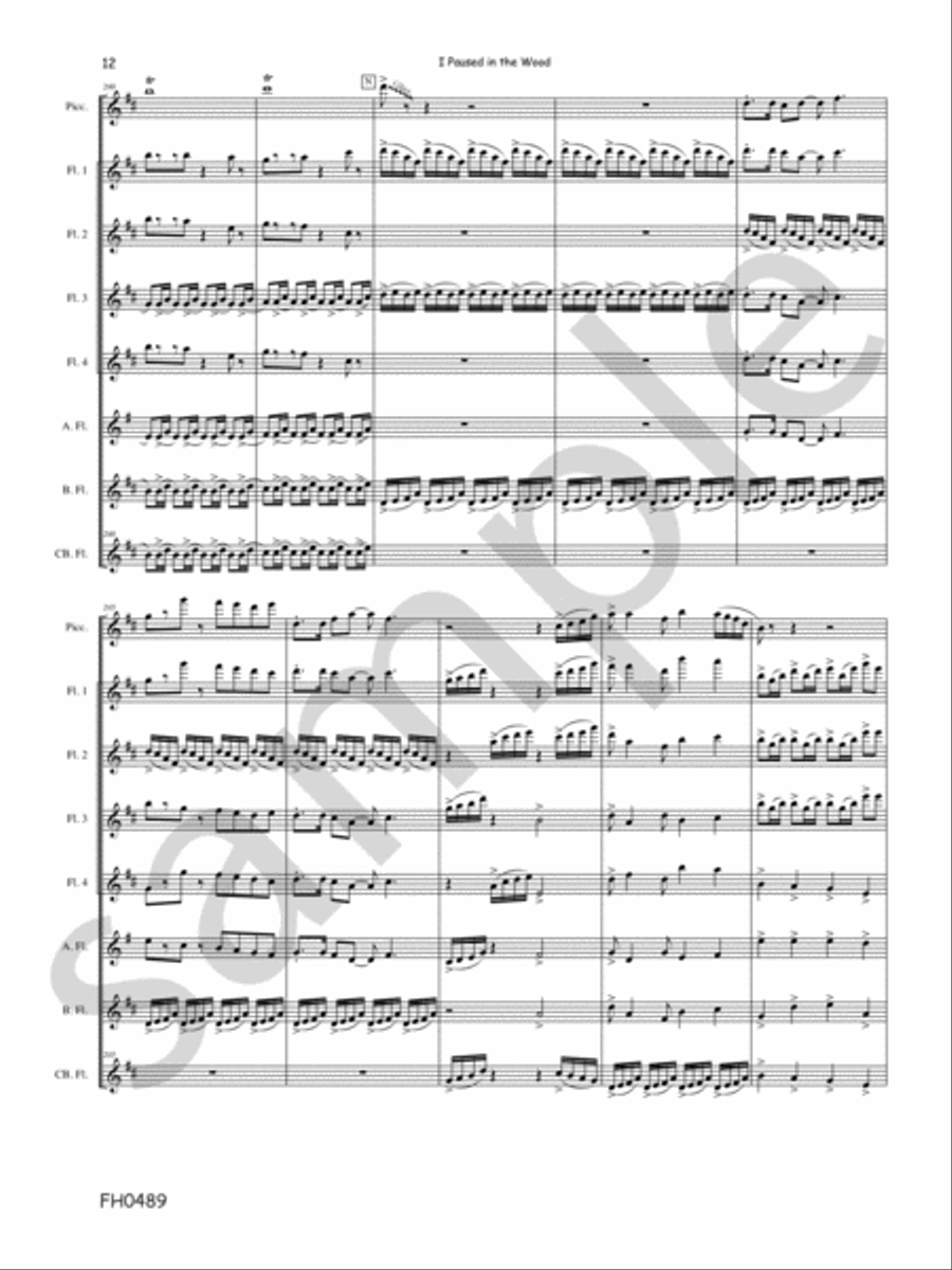 I Paused In The Wood I Paused In The Wood Flute Quartet scores gallery preview page 10