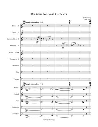 Book cover for Recitative for Small Orchestra