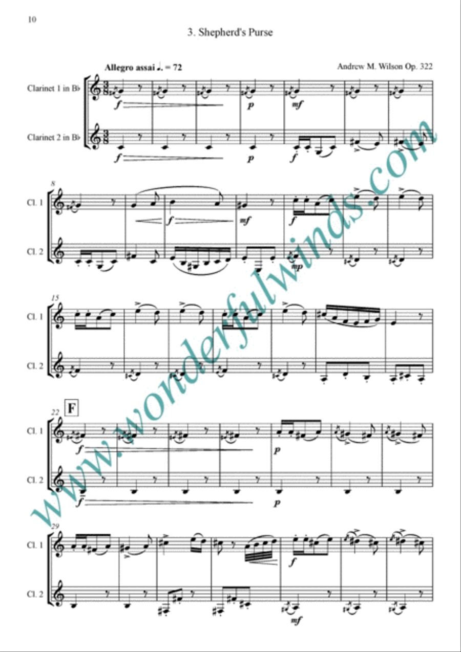 Wild Garden Wild Garden Clarinet Duet scores gallery preview page 4