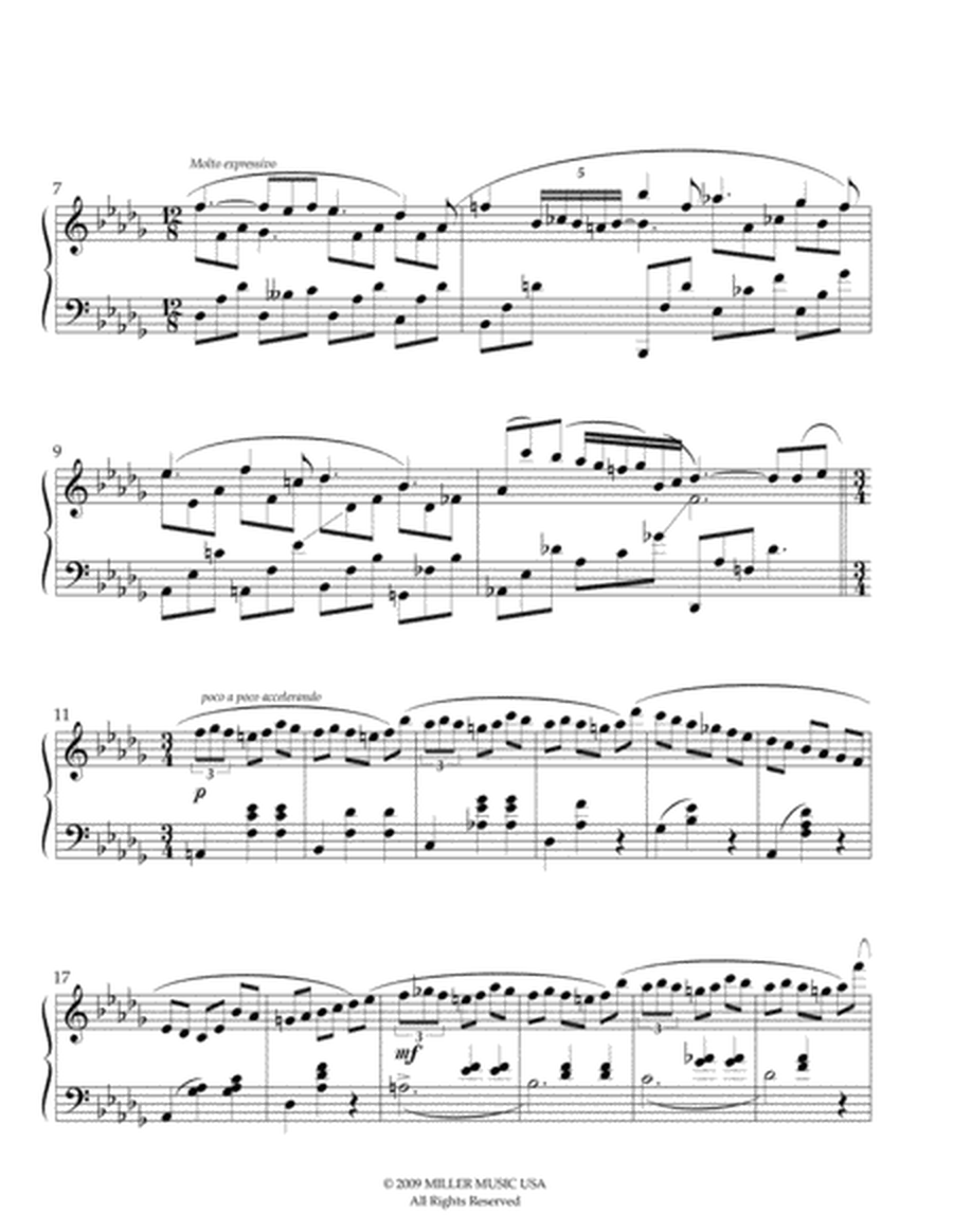 Piano Fantasy Nr. 2 Chopin image number null
