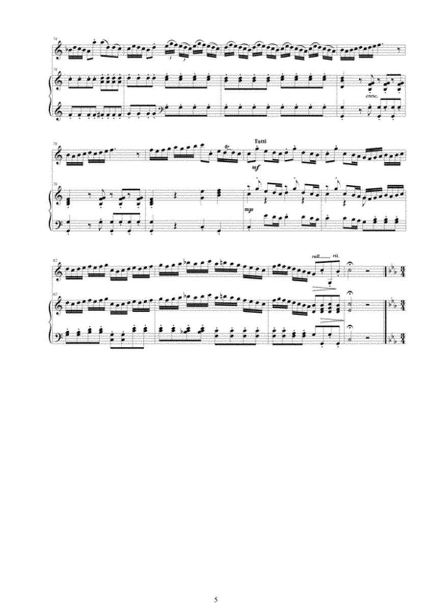 Vivaldi - Violin Concerto No.12 in C major RV 178 Op.8 for Violin and Piano image number null