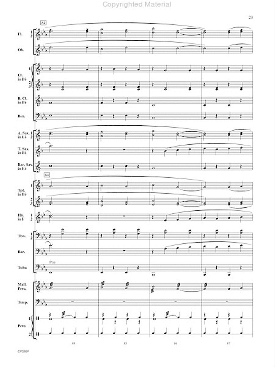 El Palomino Noble El Palomino Noble Concert Band scores gallery preview page 24