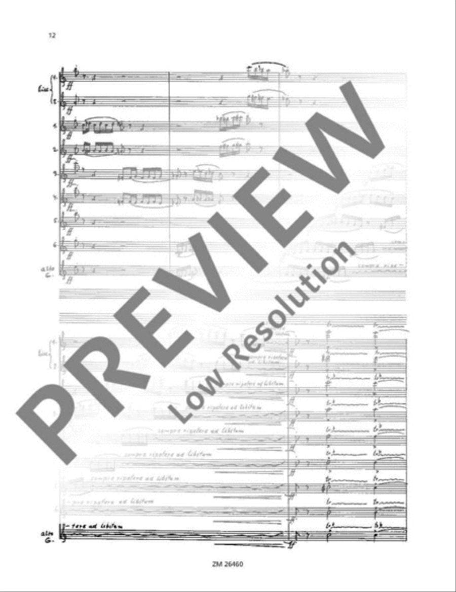 Cassation Cassation Flute scores gallery preview page 13