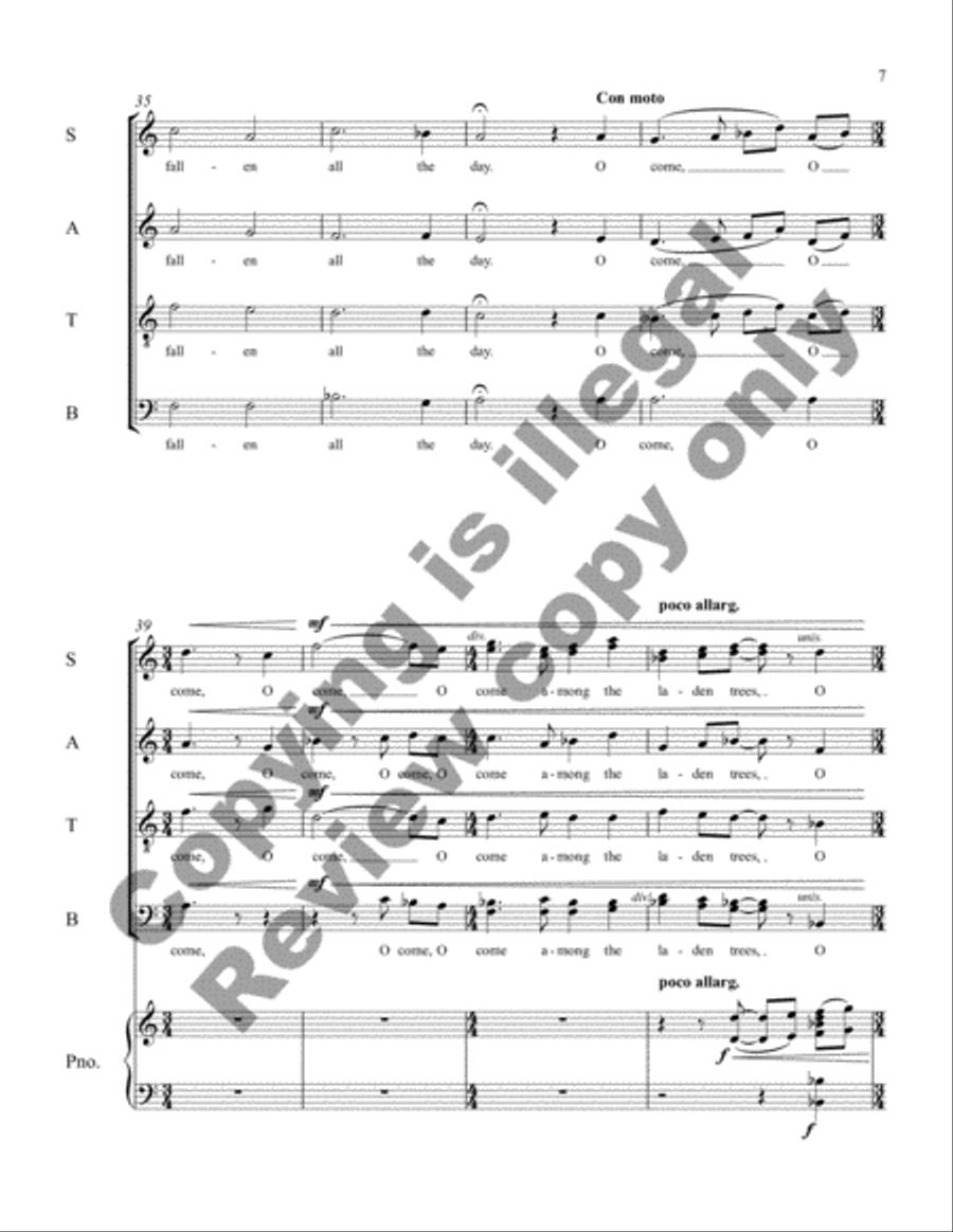 Chamber Music, Volume 3: Four Joyce Songs: Serenade in One Movement 4-Part scores gallery preview page 8