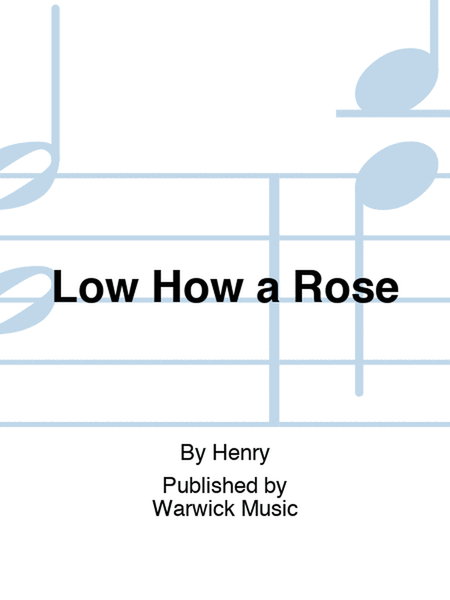 Low How a Rose