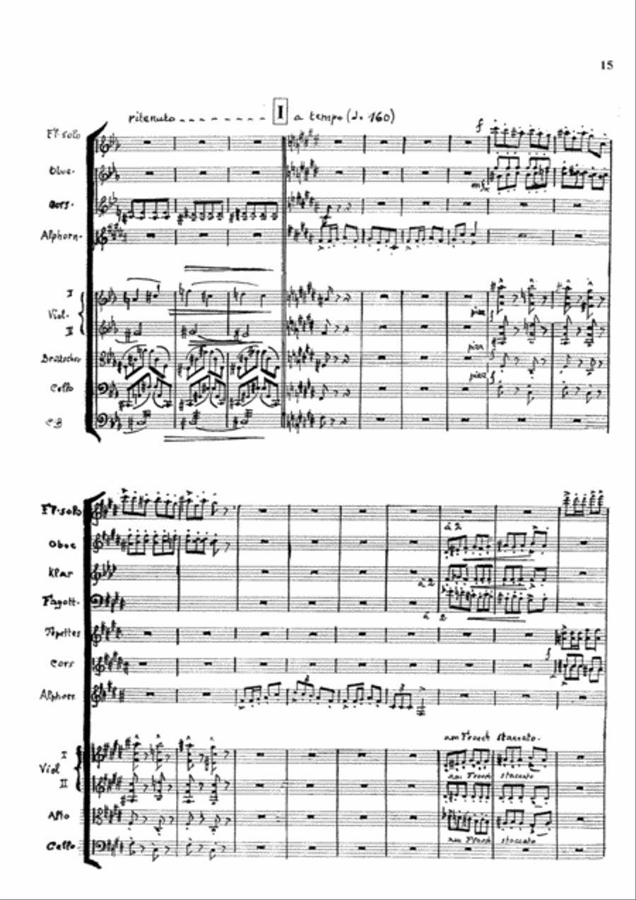 3. Alphorn Concerto Orchestra scores gallery preview page 15