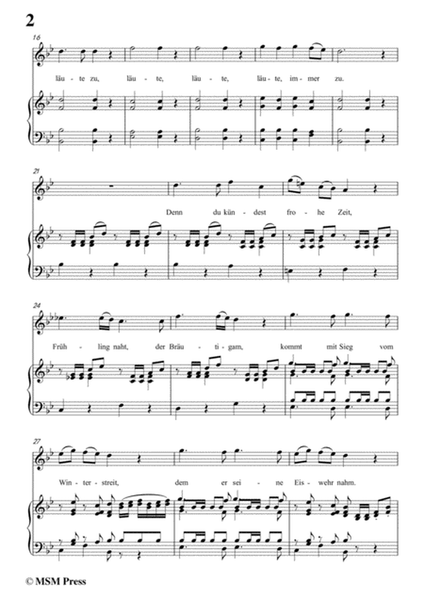 Schubert-Viola(Violet),Op.123(D.786),in B flat Major,for Voice&Piano image number null