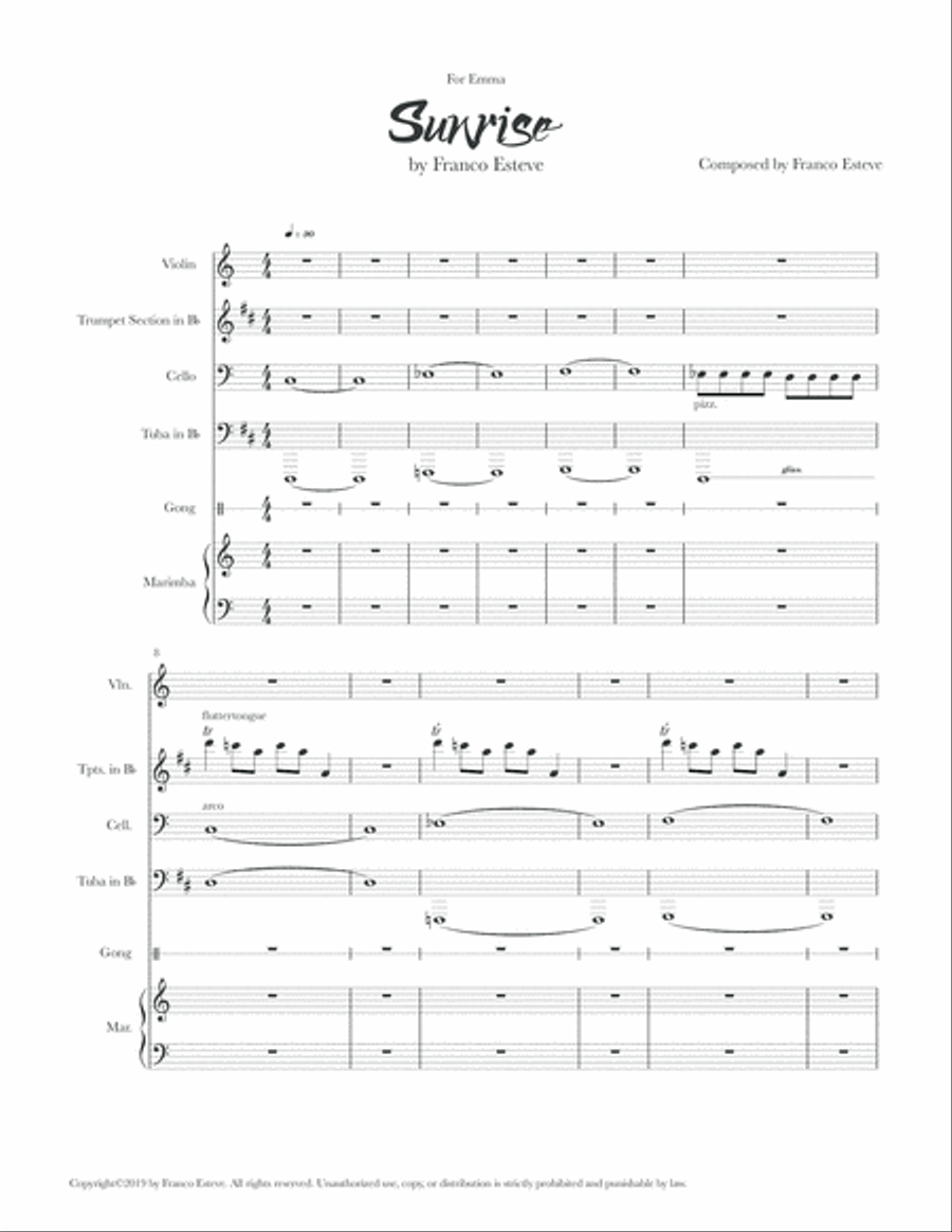 Sunrise Chamber Orchestra scores gallery preview page 2