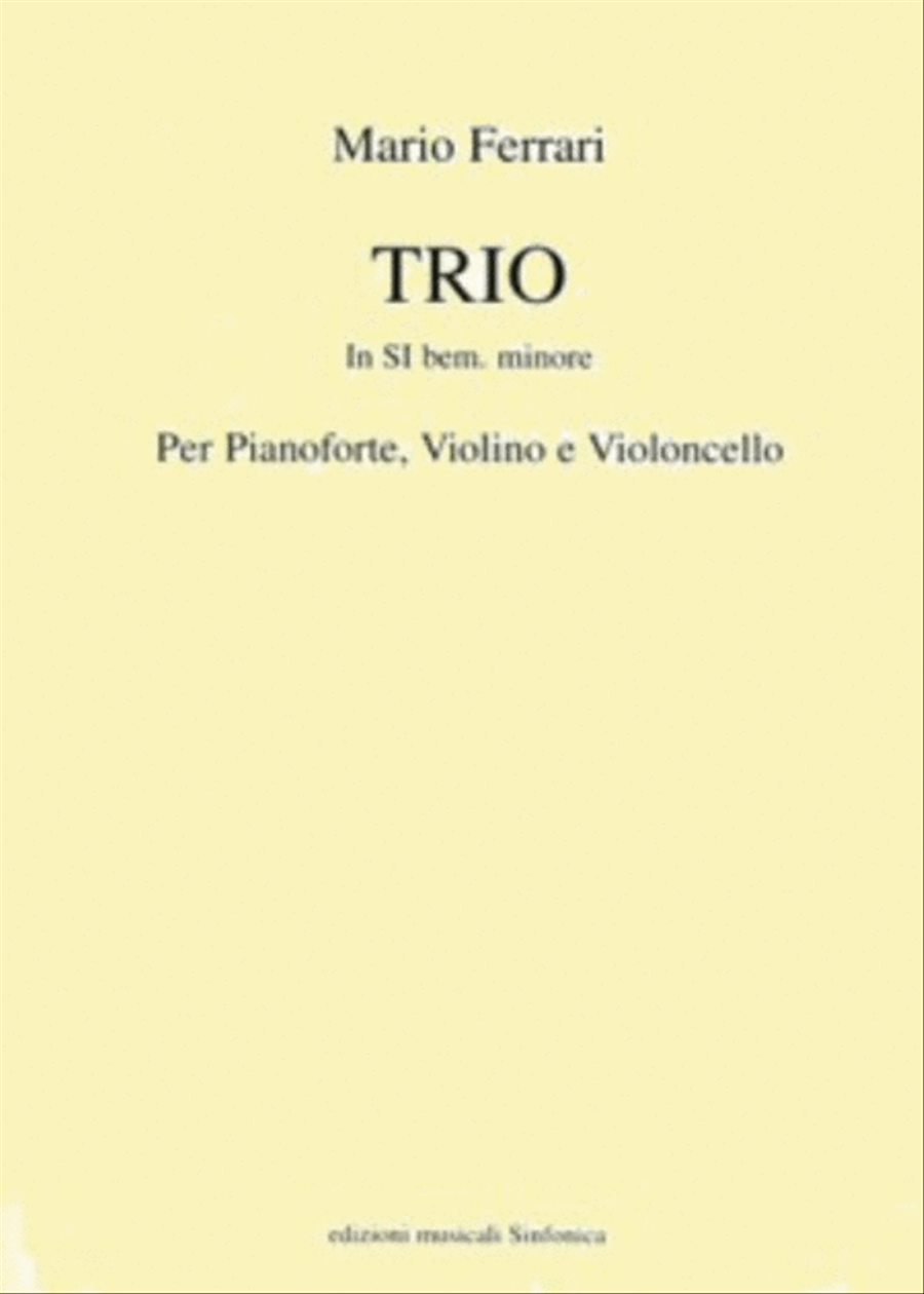 Trio in Si Bemolle Minore