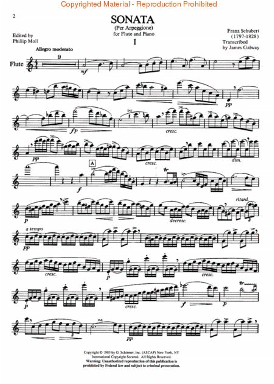 Sonata per Arpeggione Flute Solo scores gallery preview page 2