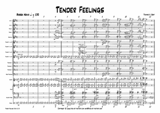 Book cover for Tender feelings - Bossa Nova/Samba - Big Band