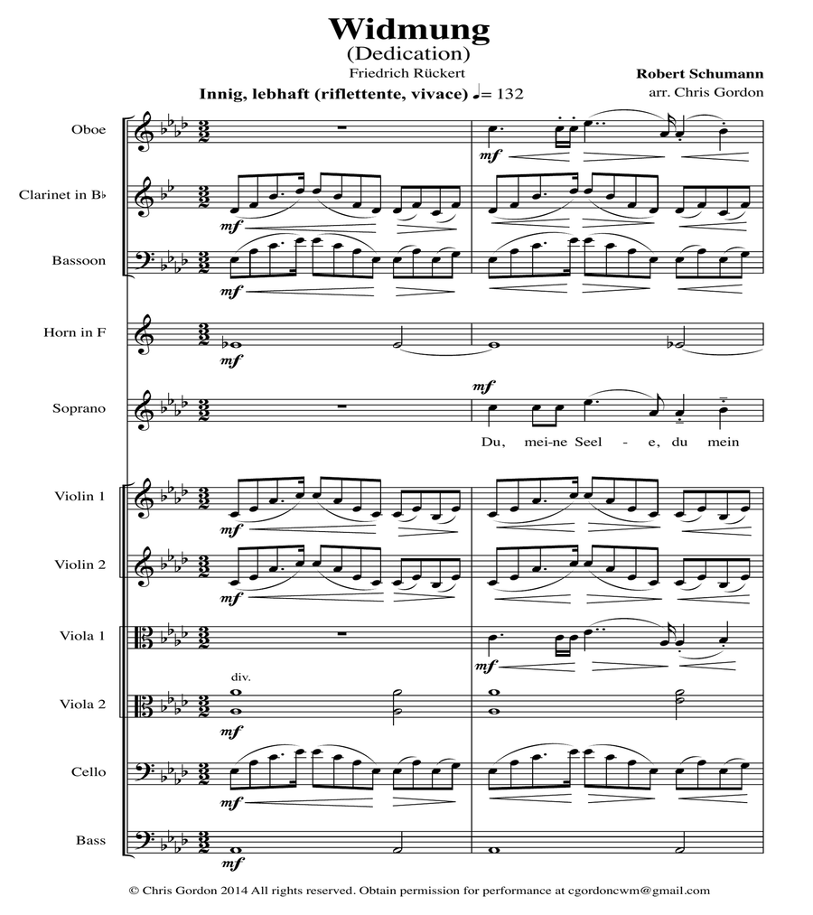 Robert Schumann - Widmung (from the song cycle Myrten, Op. 25) Chamber Orchestra scores gallery preview page 1