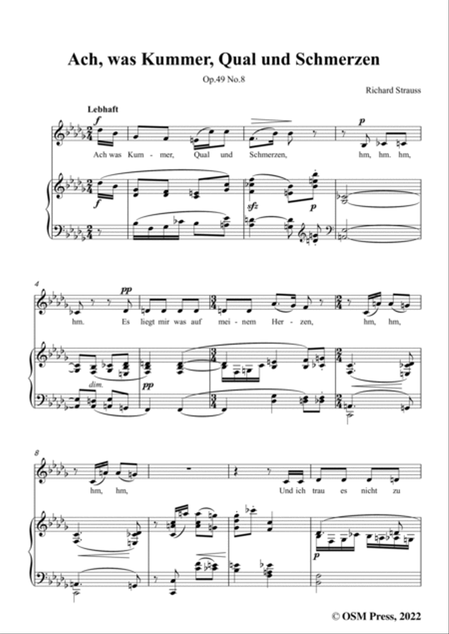 Richard Strauss-Ach,was Kummer,Qual und Schmerzen,in b flat minor Voice scores gallery preview page 3
