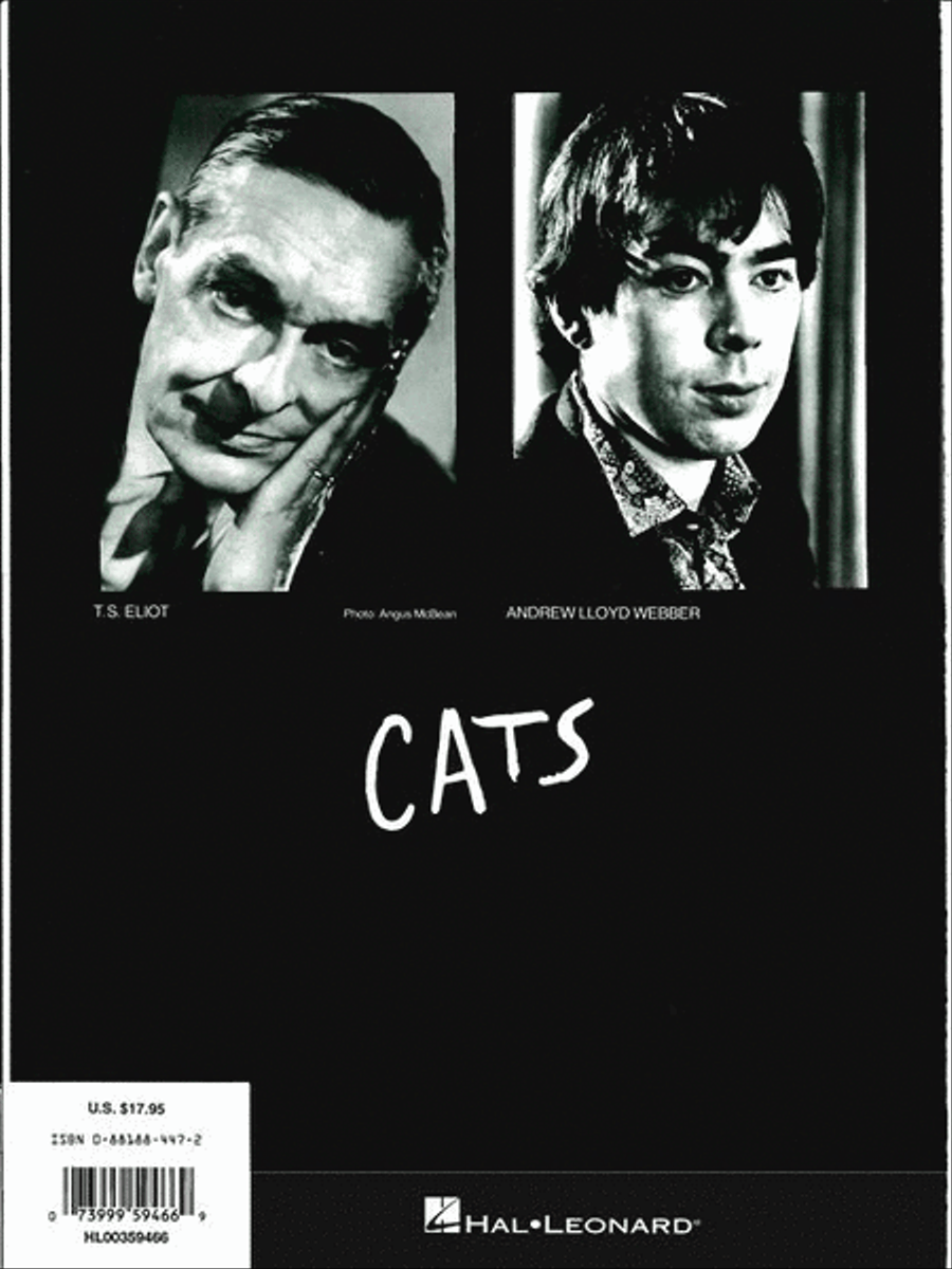 Cats Cats Piano, Vocal, Guitar scores gallery preview page 9