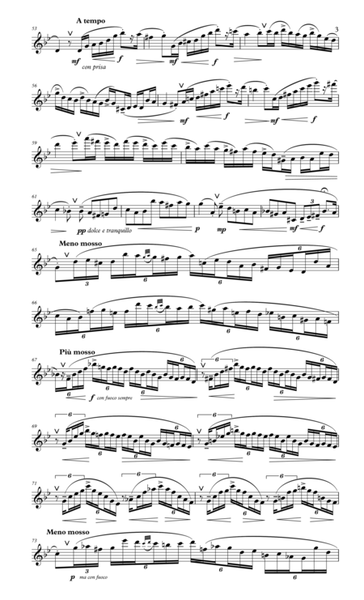 Lorenzo Allego di concerto Dramatico for solo flute image number null