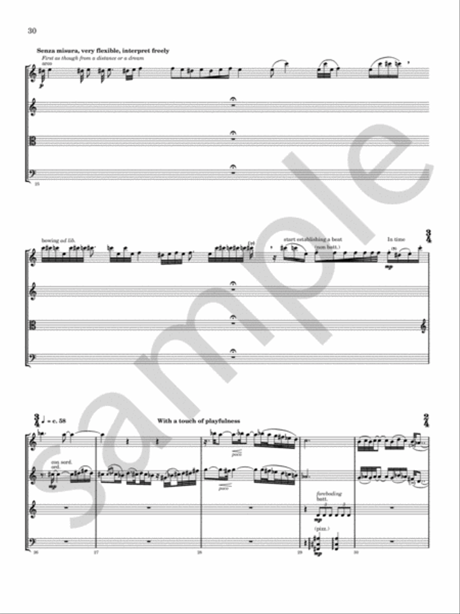 Glitter, Doom, Shards, Memory Chamber Music scores gallery preview page 19