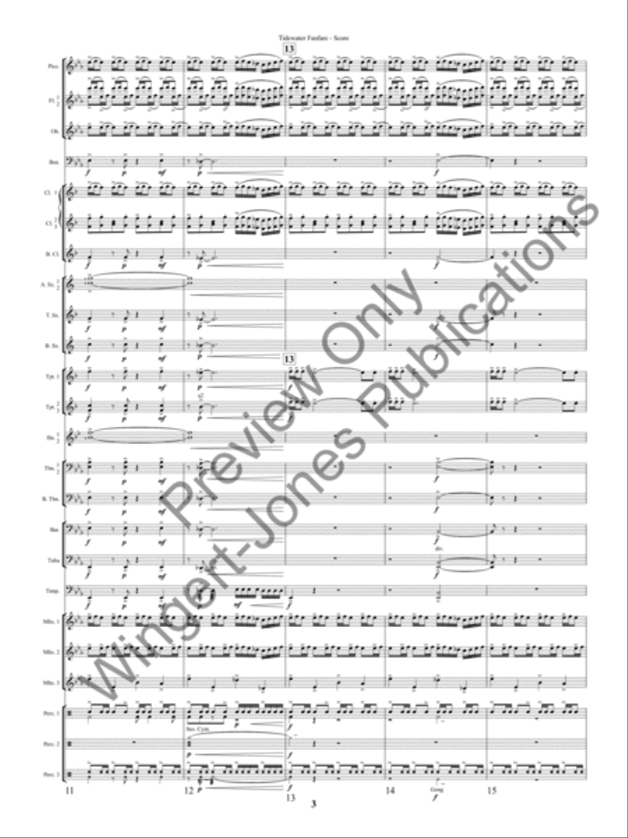 Tidewater Fanfre (Score) Concert Band scores gallery preview page 6