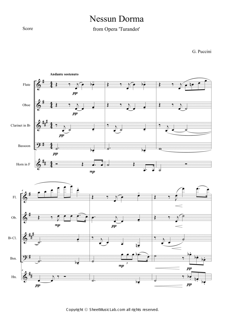 Nessun Dorma (Opera Turandot aria) Woodwind Quintet scores gallery preview page 1