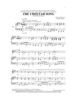 The Cheetah Song