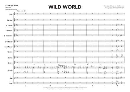 Wild World image number null