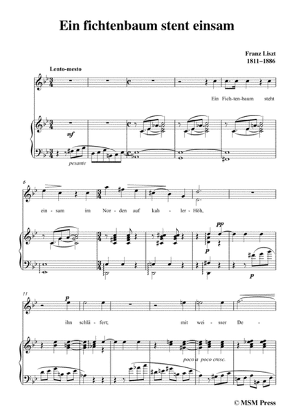 Liszt-Ein fichtenbaum stent einsam in g minor,for Voice and Piano image number null