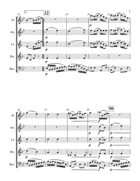 The Nonpareil - for woodwind quintet image number null