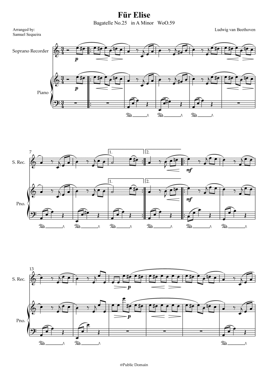 Für Elise (For Elise) - for Recorder and Piano accompaniment - with Piano Play along Recorder scores gallery preview page 1