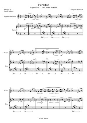 Für Elise (For Elise) - for Recorder and Piano accompaniment - with Piano Play along