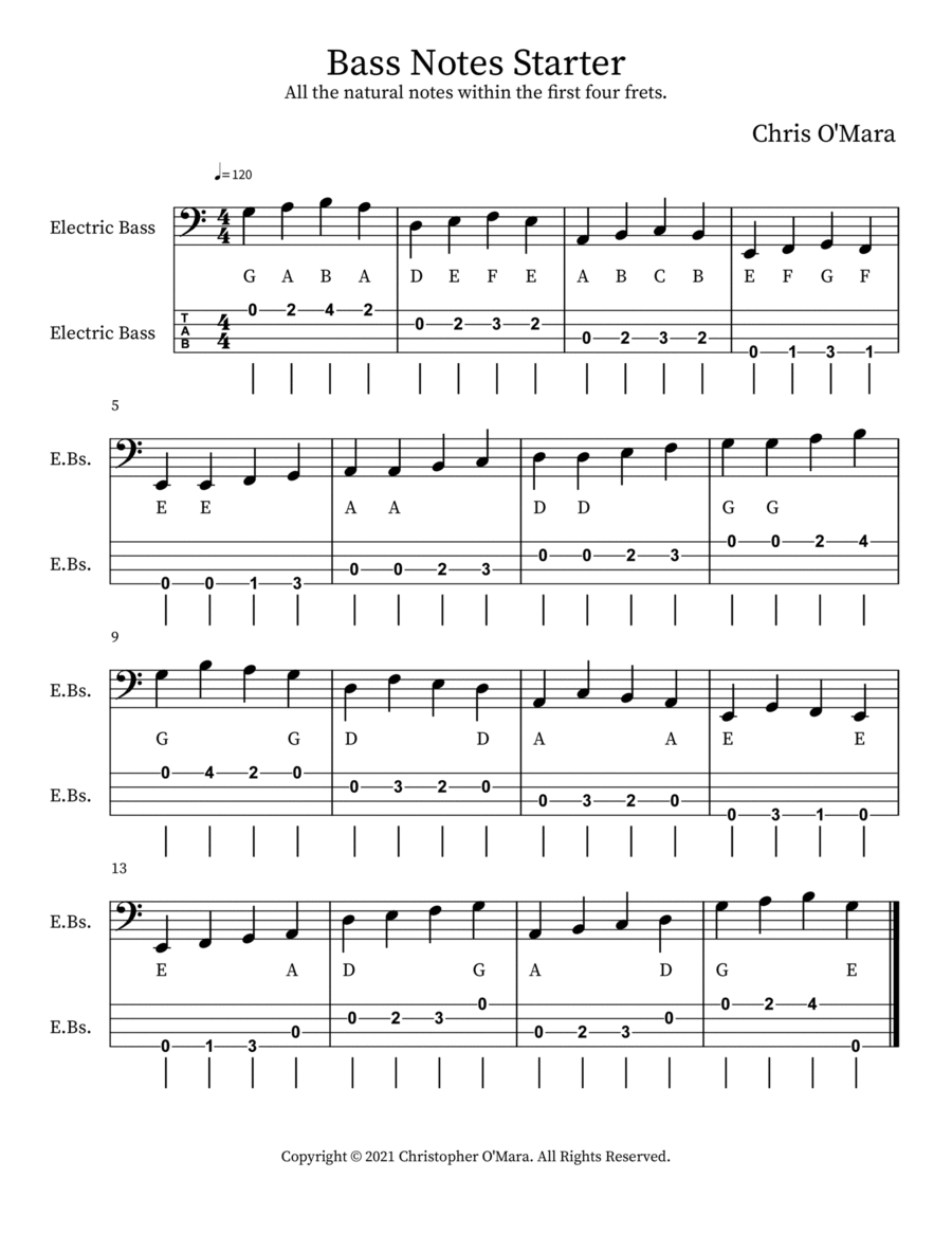 Bass Notes Starter