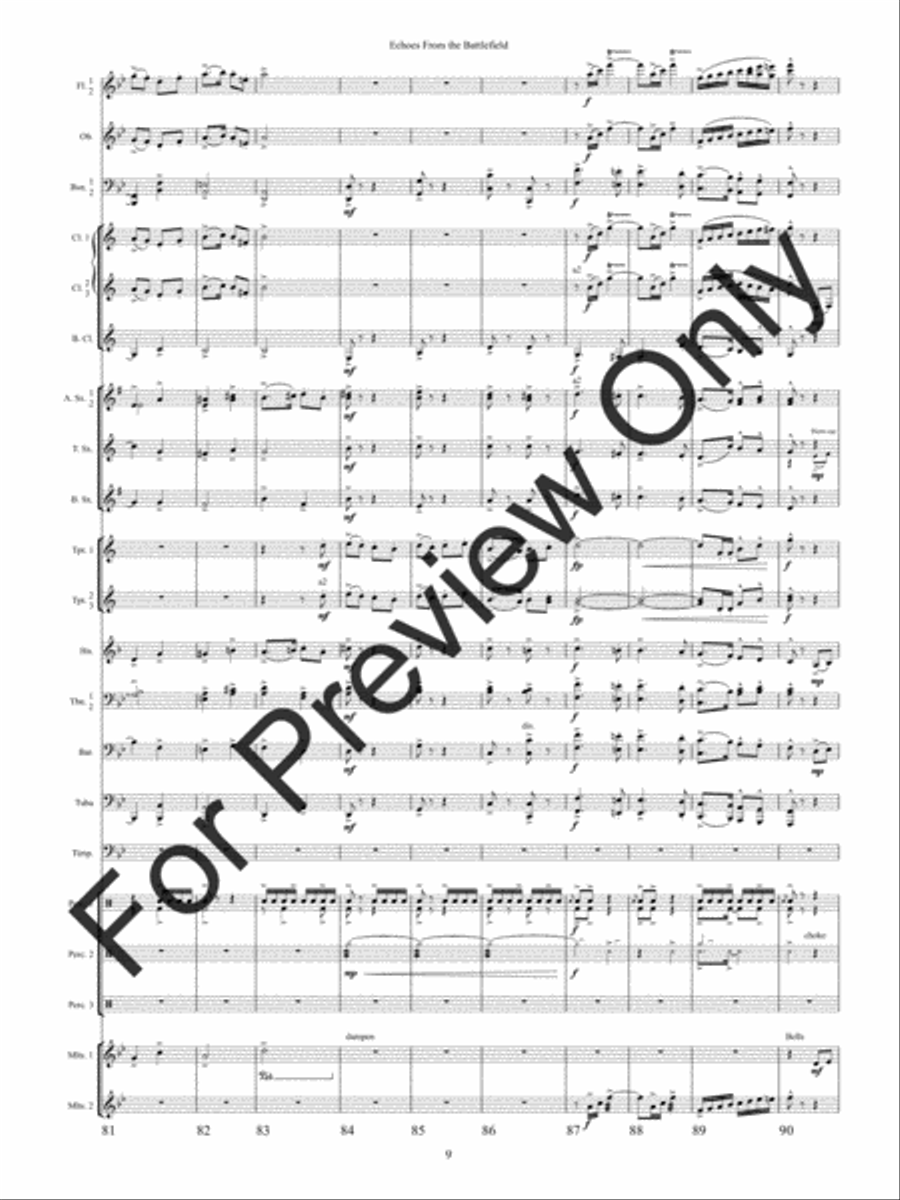 Echoes from the Battlefield (Score) Concert Band scores gallery preview page 12
