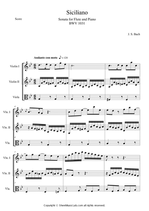 Flute Sonata BWV 1031 Siciliano