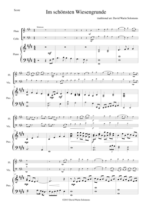 Im schönsten Wiesengrunde for flute, cello and piano