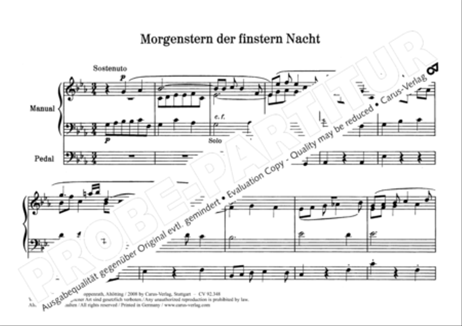 Morgenstern der finstern Nacht Organ scores gallery preview page 3