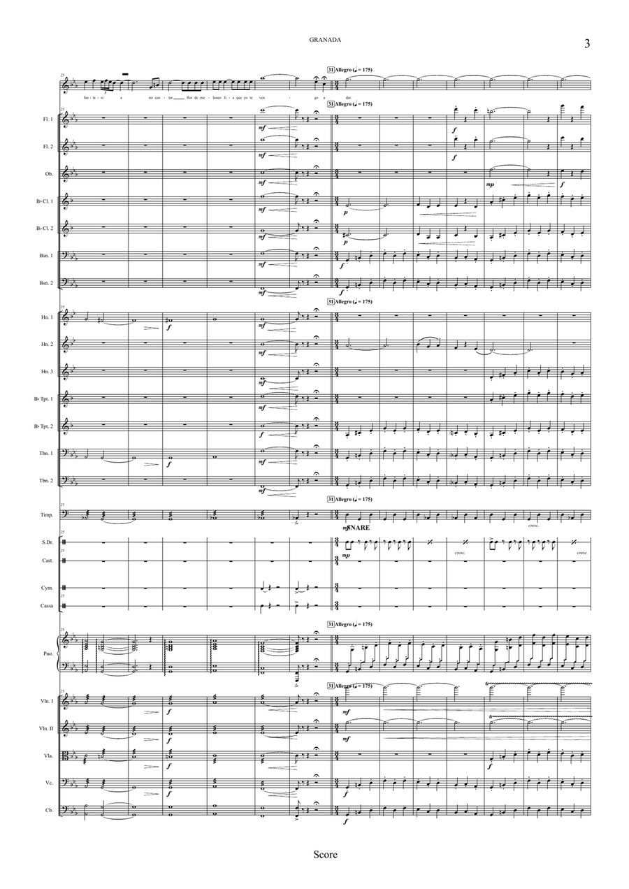 Granada Full Orchestra scores gallery preview page 3