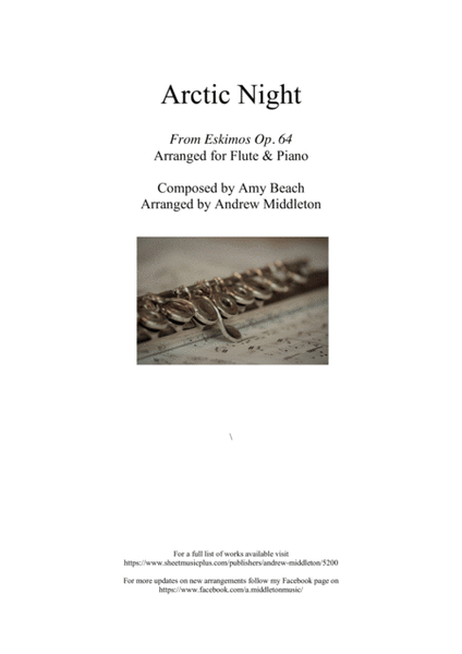 Arctic Night arranged for Flute and Piano image number null