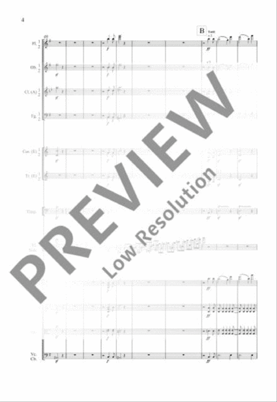 Concerto E minor Orchestra scores gallery preview page 11