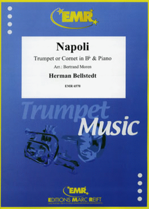 Book cover for Napoli