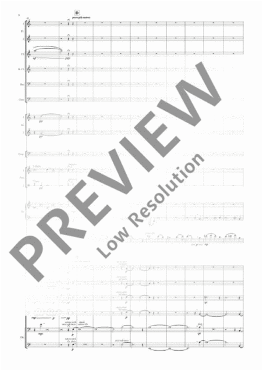 Double Bass Concerto Double Bass Concerto 3-Part scores gallery preview page 11