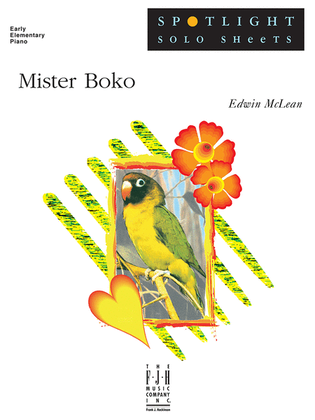 Book cover for Mister Boko