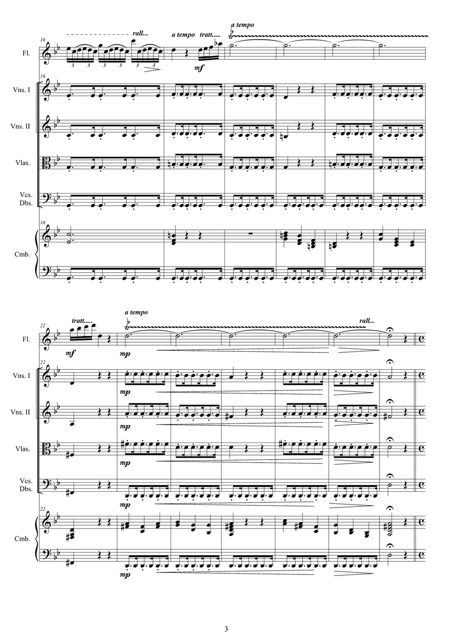 Vivaldi - Flute Concerto No.2 in G minor 'La Notte' Op.10 RV 439 for Flute, Strings and Cembalo Chamber Orchestra scores gallery preview page 3