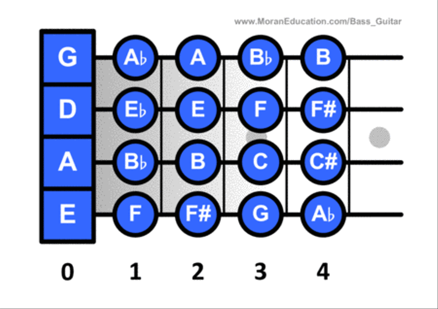 Bass Guitar First Position Note Names and Fingerings Flash Cards